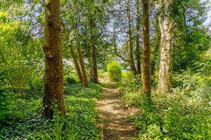 Woodland- click for photo gallery